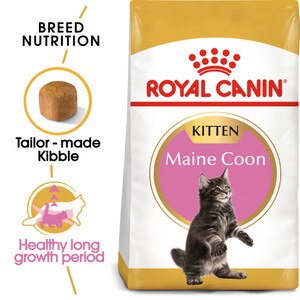 ROYAL CANIN® Maine Coon Kitten 4kg